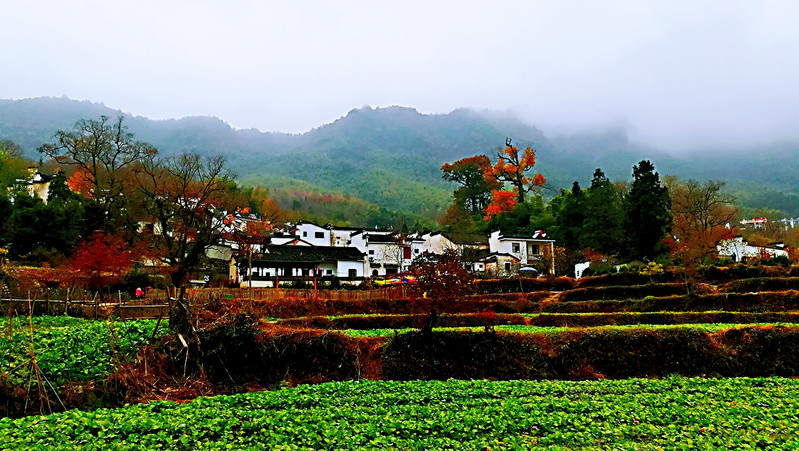 塔川景區旅圖_途牛