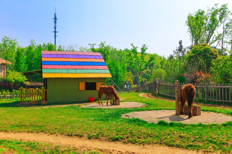 东方盐湖城,道不尽的道