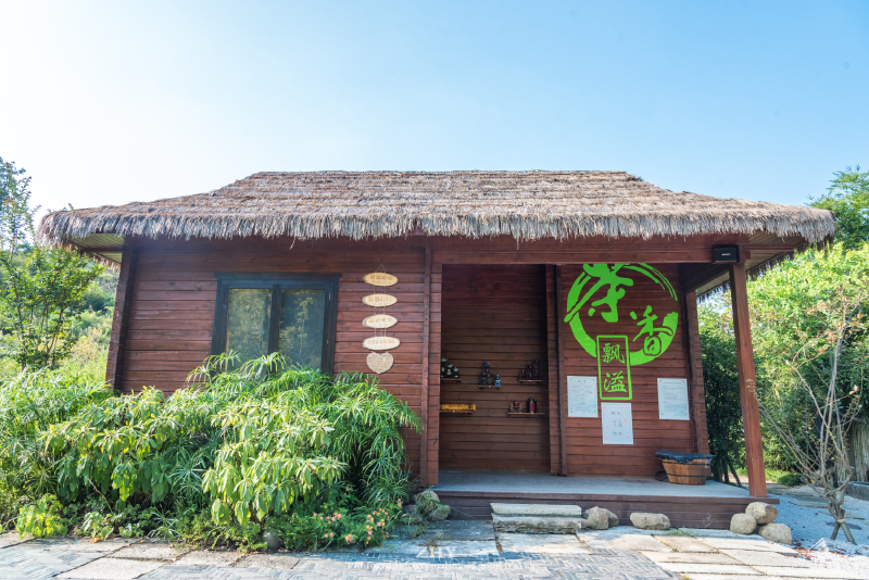 酒店拥有属于自己的茶山和茶室,沿着山间的