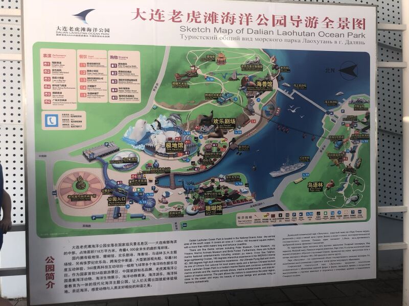 我想大声告诉你大连老虎滩真的有老虎老虎滩详细攻略