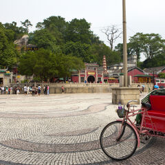 活动模块 
