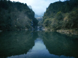 牯牛降自然保护区