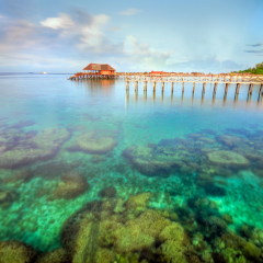 the coral of mabul island