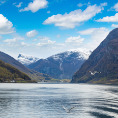 Sognefjord in Norway in a sunny day
