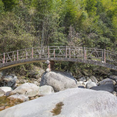 桥梁,大鄣山卧龙谷,婺源,江西省,中国,亚洲