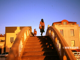 阿维罗运河中心