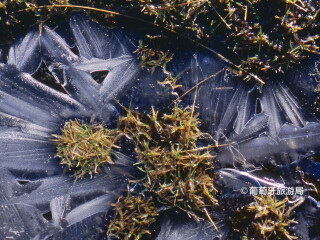 埃什特雷拉山自然公园