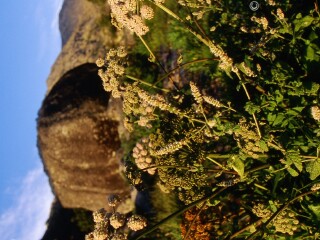 埃什特雷拉山自然公园