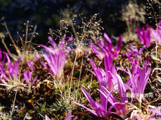埃什特雷拉山自然公园