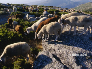 埃什特雷拉山自然公园