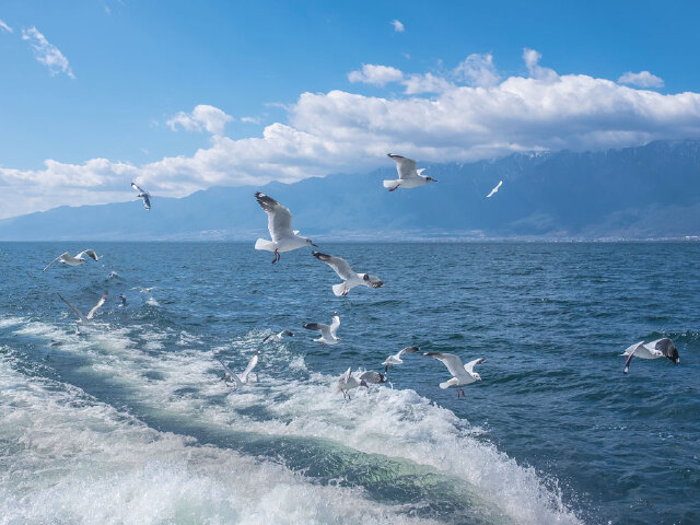  云南-丽江-大理双飞5日游>纯玩无购物/洱海大游船/大理海景房/丽江