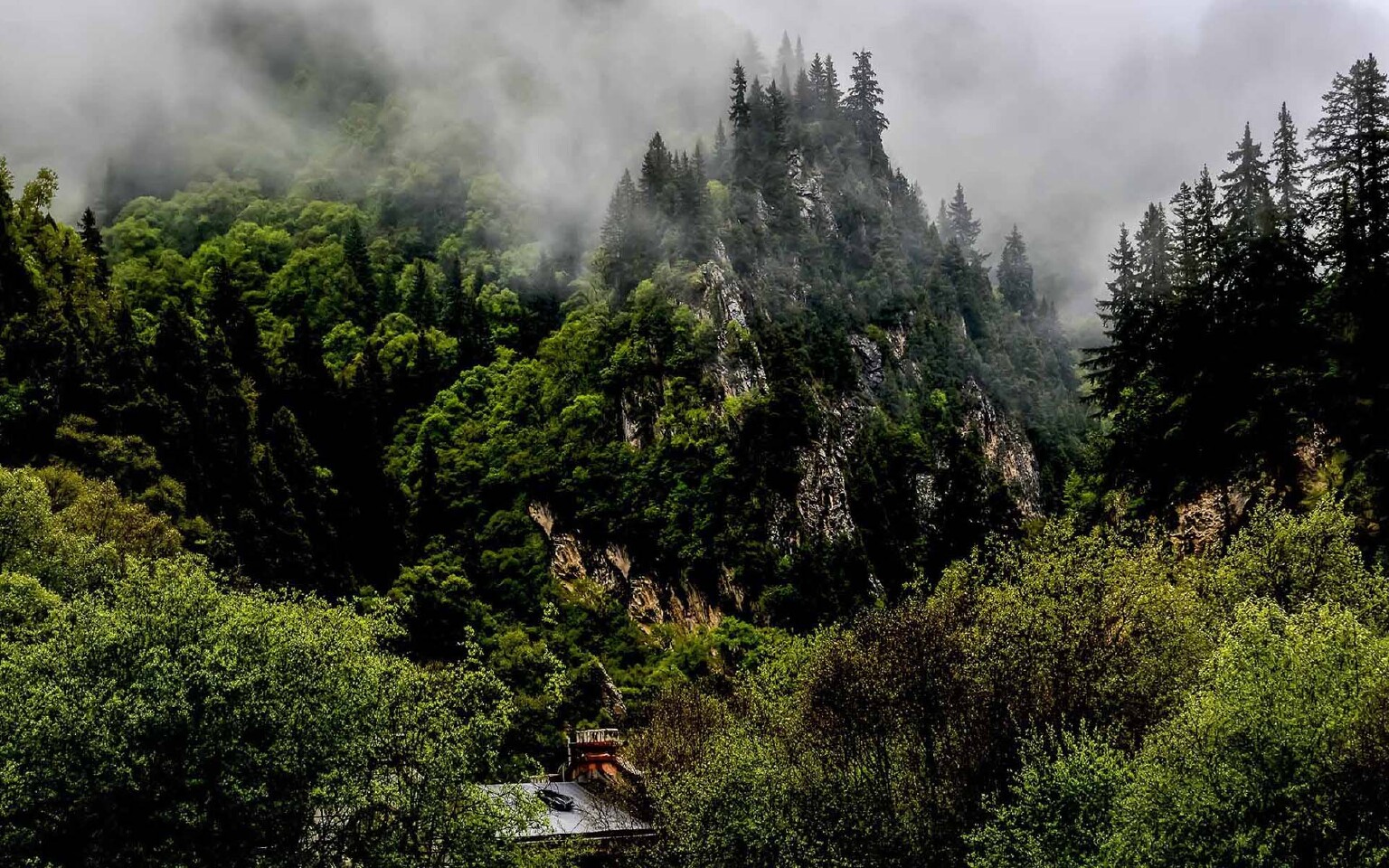 吐鲁沟一神话般的绿色山谷_吐鲁沟国家森林公园游记_途牛