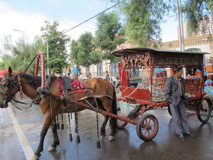 進入景區有很多這樣的馬車等候遊客,坐這個是包含在我們交的140元裡的