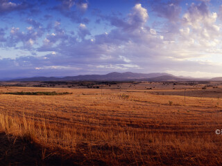 塔古斯国际自然公园