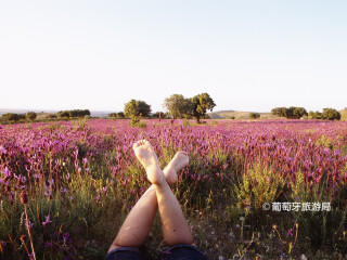 塔古斯国际自然公园