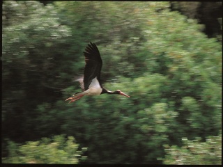 塔古斯国际自然公园