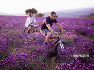 塔古斯国际自然公园