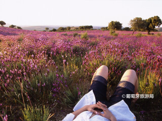 塔古斯国际自然公园