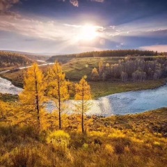 呼伦贝尔大草原