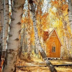 呼伦贝尔大草原