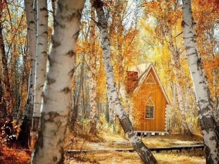 呼伦贝尔大草原