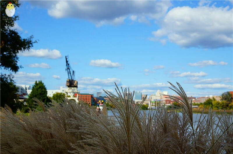 wilmington train station