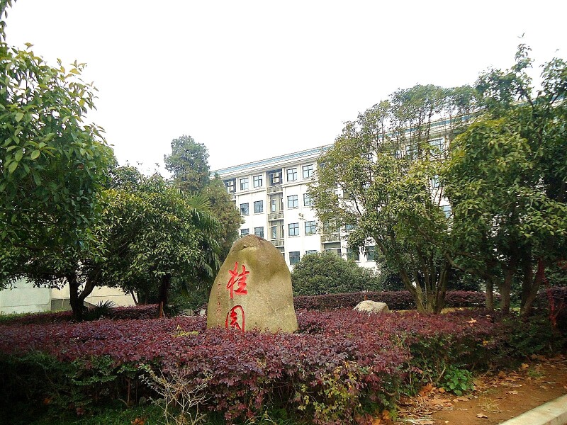 国立武汉大学桂园.