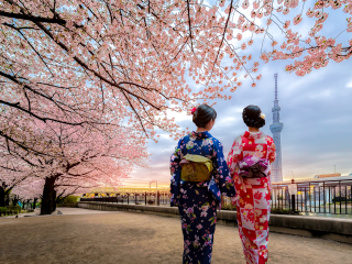 大阪造币局樱花通道