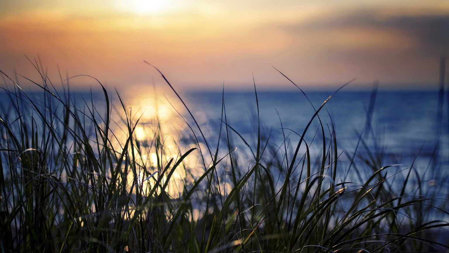 五一哪儿玩?玻璃吊桥不算啥这里集齐了十大高空项目