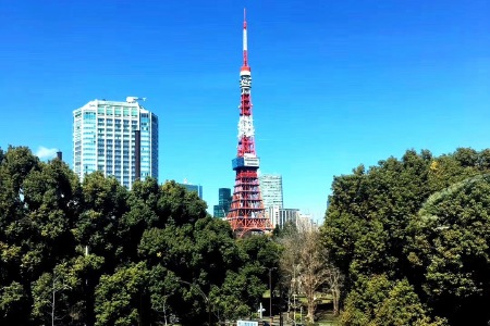 <青岛直飞日本本州浪漫全景游六日游>茶道体验，感受初秋红叶漫山，青岛起止名进阪出，打卡日本的九寨沟