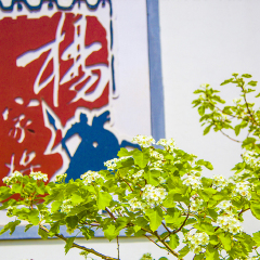 天波杨府
