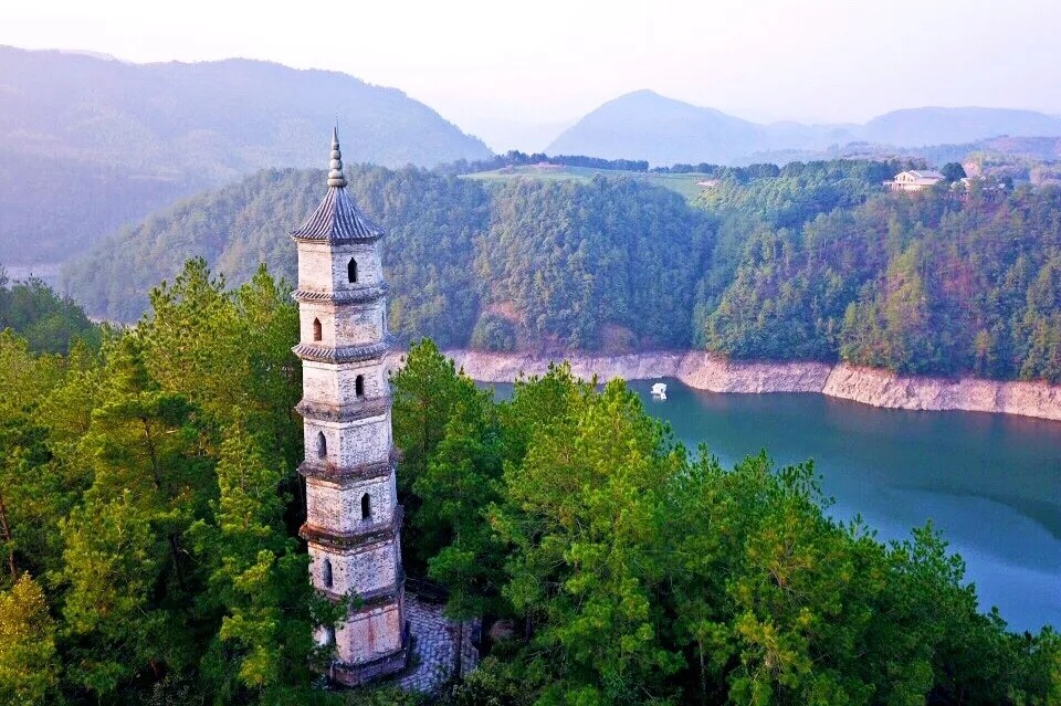 五一来袭!一路繁花,万亩杜鹃正绚烂,遂昌桃源尖等你来狂欢