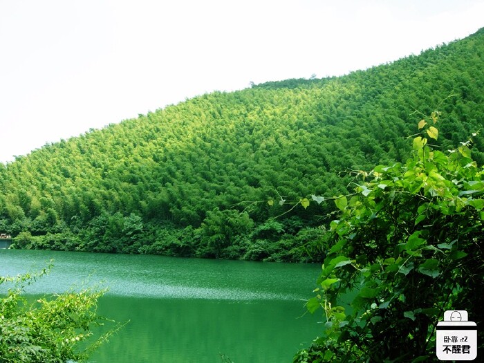 湖边长得也都是竹子哦