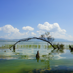 Yunnan Dali Erhai Sea Park Park spider