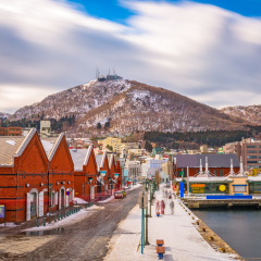 Hakodate, Japan cityscape at the historic Red Brick Warehouses and Mt. Hakodate.