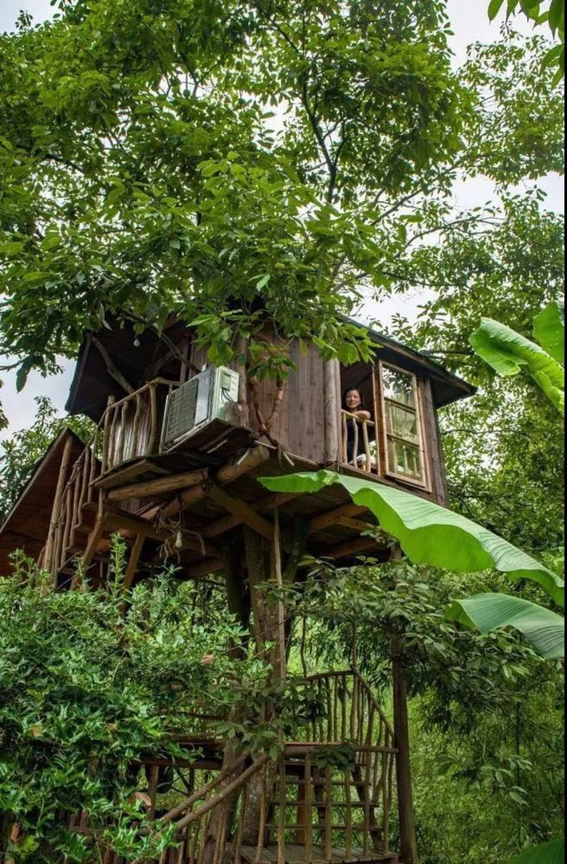 五一带娃去森林里,住树上…江浙沪最美的小木屋都在这份清单里啦