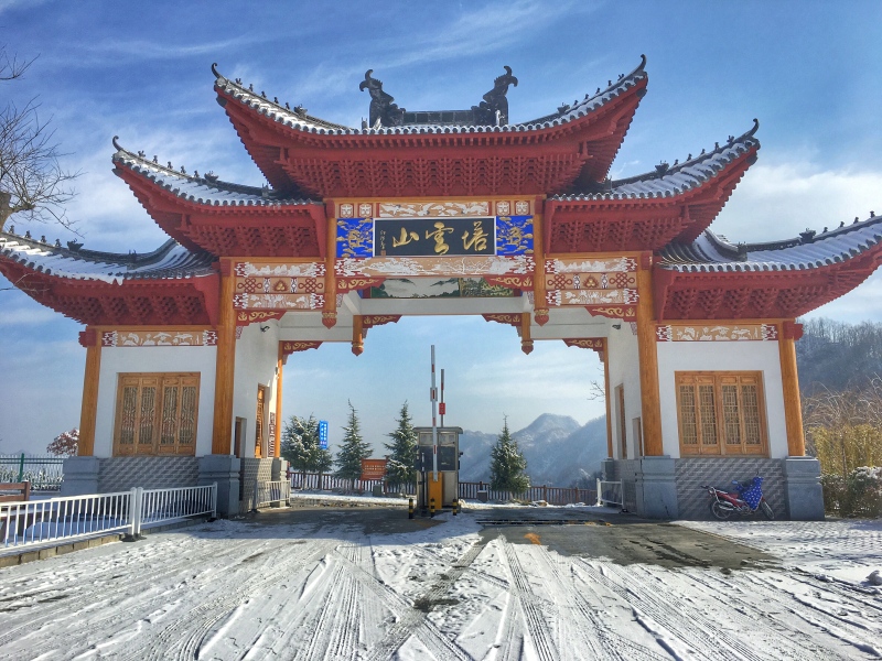 镇安|我从远方赶来,只为一睹你真容