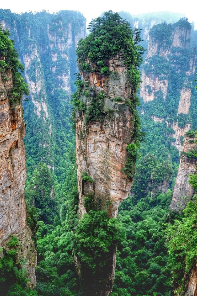           南天一柱
