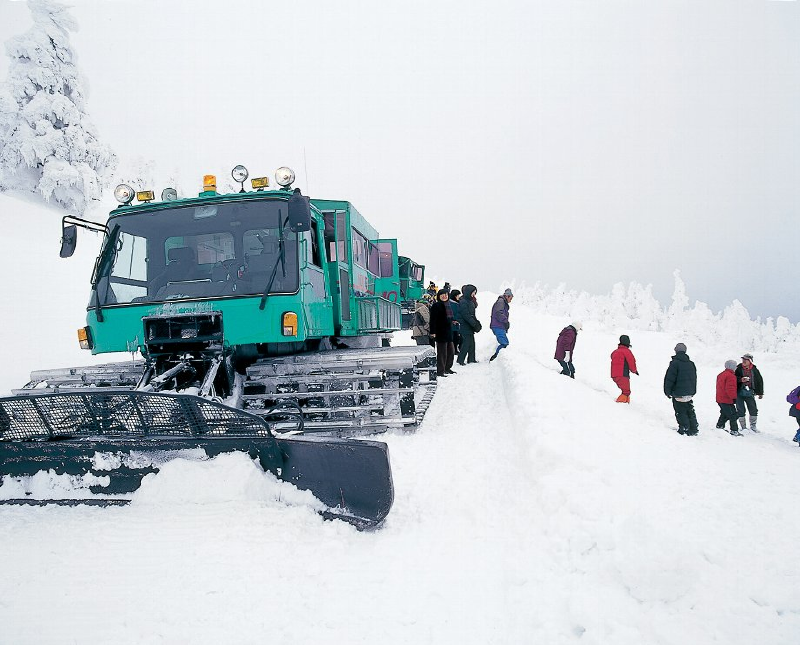 乘坐雪车去看藏王树冰「澄川雪上乐园」