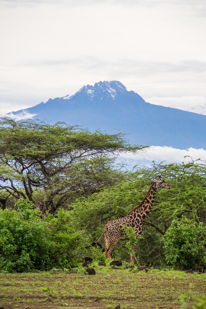 肯尼亚,坦桑尼亚|消除偏见之旅