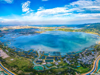 彩桥记忆红树林湿地旅游度假区