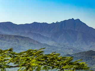 五指山国家级自然保护区