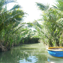 Coconut basket boat in Cam Thanh village of Hoi An, Vietnam. Bamboo boat for traditional fishing and tourism.