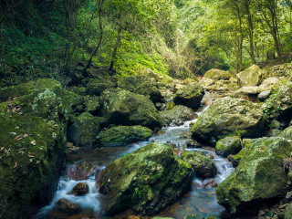 五泄国家森林公园