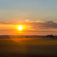混伦贝尔草原落日