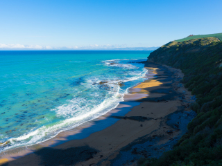 奥玛鲁蓝眼企鹅栖息地