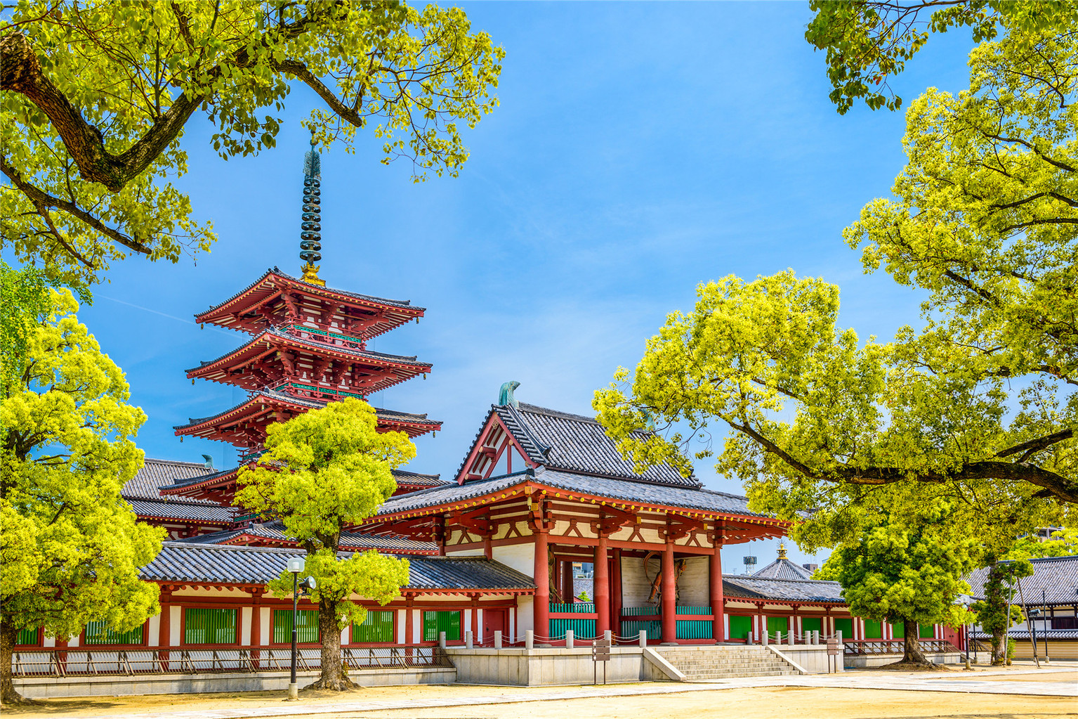 大阪四天王寺丨祈福观龟池还能赏落日这个寺庙不一样