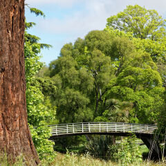 Footbridge in Botanical Gardens in Hagley Park, Christchurch