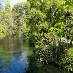 Avon River and Botanical Gardens in Hagley Park, Christchurch