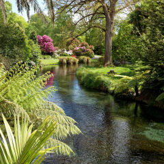 Avon River and Botanical Gardens in Hagley Park, Christchurch